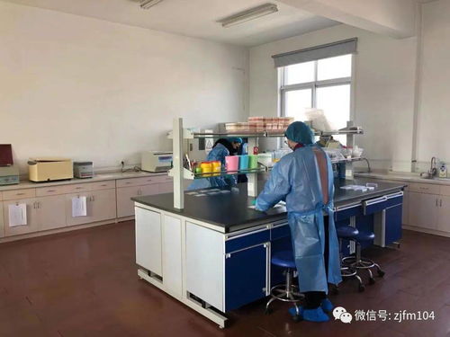 春节临近我市加强动物疫病监测