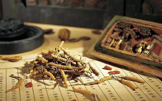 义诊、学术交流,中医药文化宣传持续中….