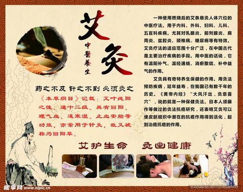 艾灸中医养生设计图