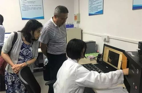 关注老字号企业创新发展 助力打响上海购物品牌