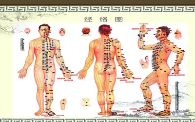 人体经络图中医穴位图图片