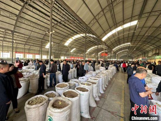 甘肃欲借 前店后厂 模式促中医药产业国际化