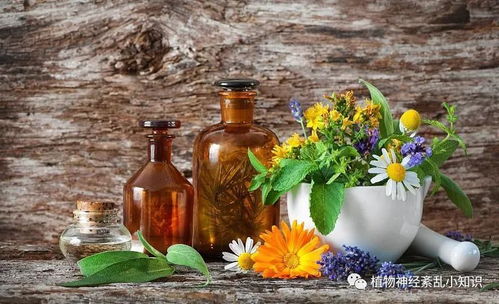 植物神经紊乱瘀血阻络的中医辩证