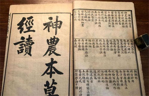 中医不灭,天理难容 大学教授发起万人签名,强烈要求取缔中医