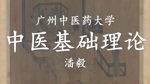 中医