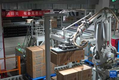 中医 千年智慧与现代健康的桥梁